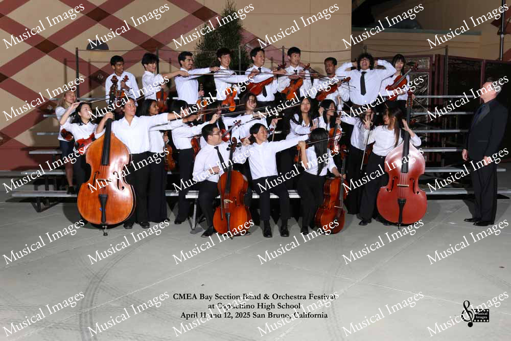 Musical Images